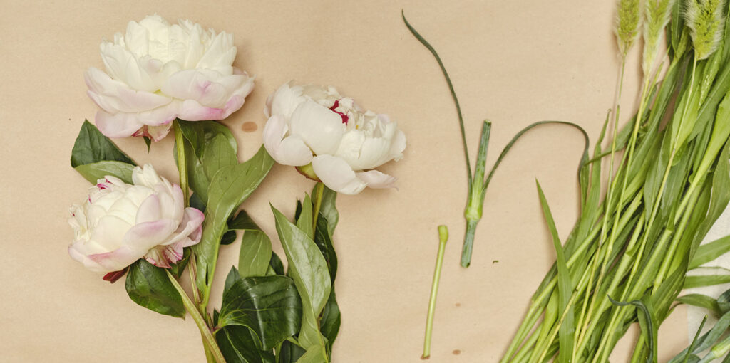 GOWhyGreenOakHeroImagenOpt