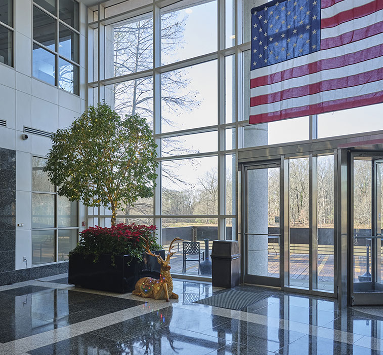 GOWhyGreenOakImagen1opt