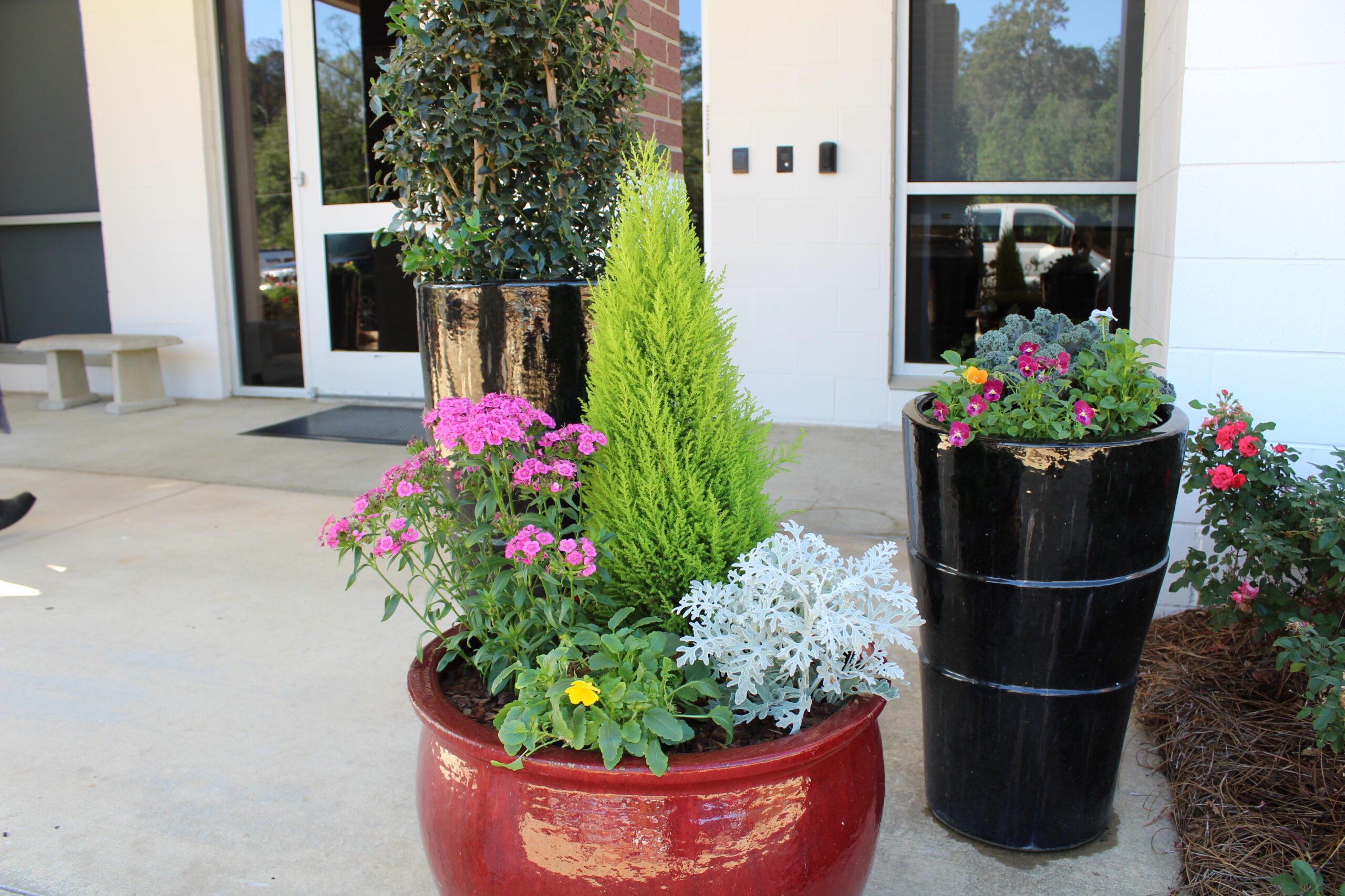 Winter Color by Green Oak