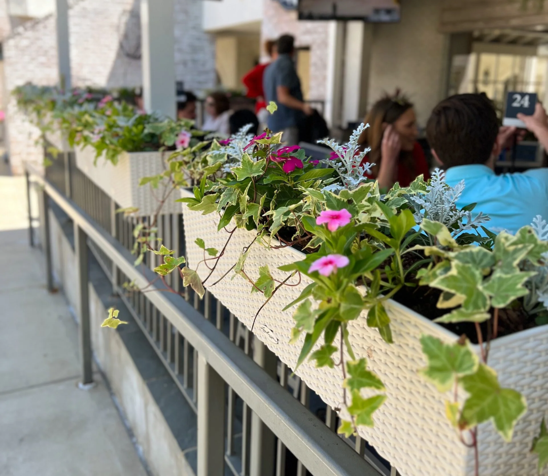 seasonal-color-at-Aplos-Jackson