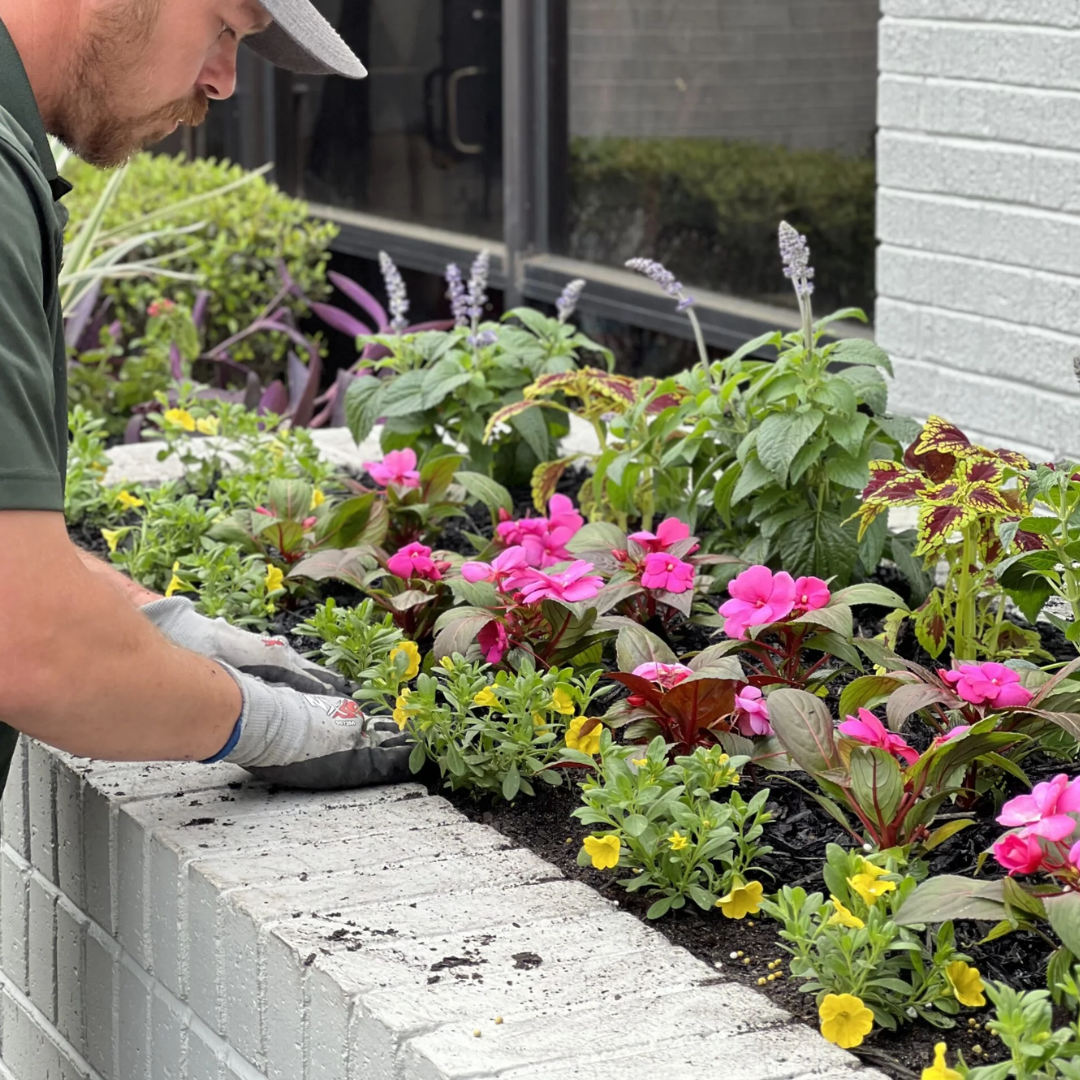 seasonal color maintenance by Green Oak