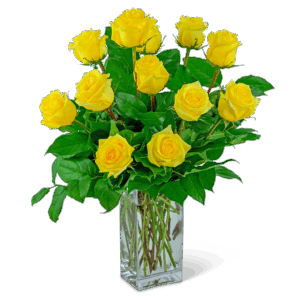 Yellow Roses (12)