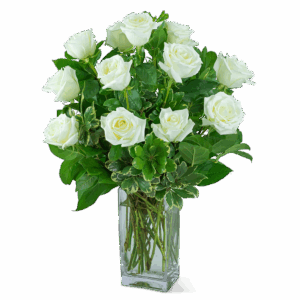 White Roses (12)