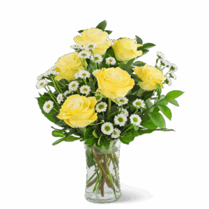 Yellow Roses with Daisies