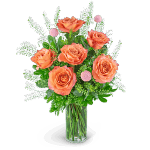 Half Dozen Free Spirit Rose Symphony