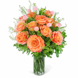 One Dozen Free Spirit Rose Symphony