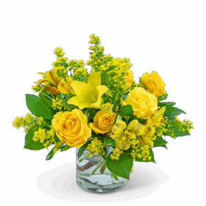 Canary Light
