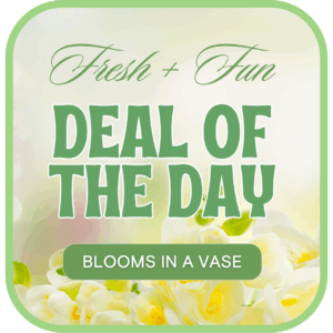 Florist's Deal of the Day