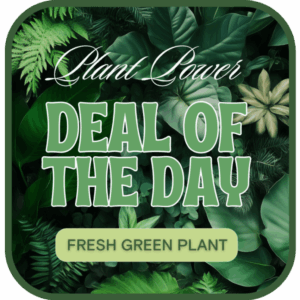 Green Plant Deal of the Day