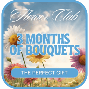 Bouquet of the Month Club (3)