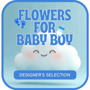 Designer's Selection Baby Boy