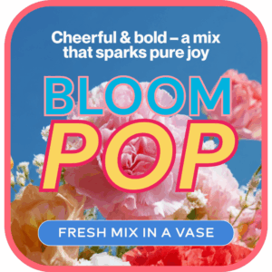 Cheerful & Bold - Designer's Choice