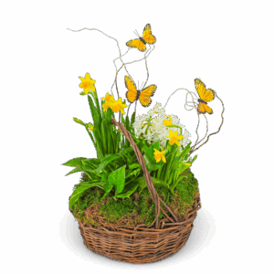 Spring Plants with Butterflies