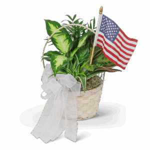 Patriotic Planter