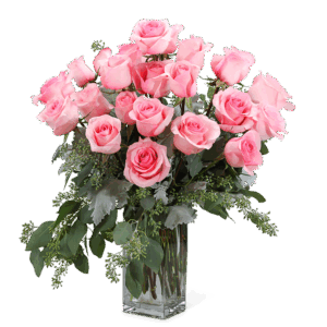 Pink Roses (24)