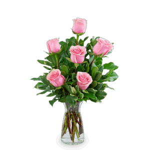 Pink Roses (6)