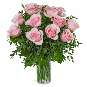One Dozen Perfectly Pink Roses