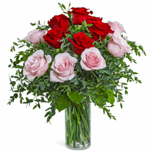 One Dozen Perfect Pink and Red Roses