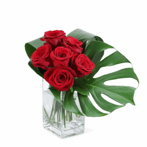 Modern Roses (6)