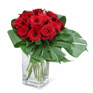 Modern Roses (12)