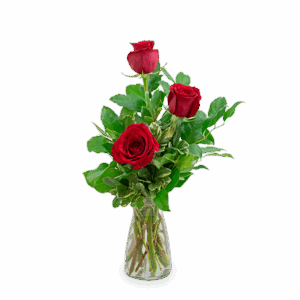 Red Roses (3)