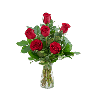 Red Roses (6)