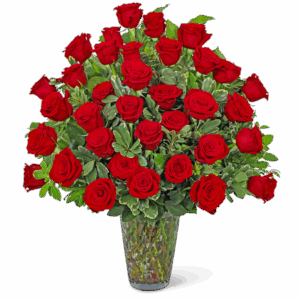Three Dozen Elegant Red Roses