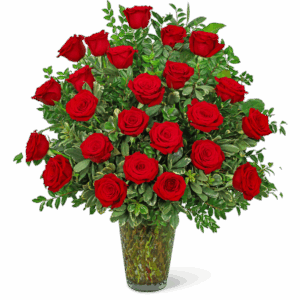Two Dozen Elegant Red Roses