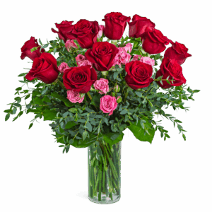 Kiss Me Dozen Roses