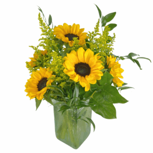 Half Dozen Sunflowers