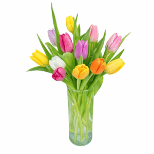 "Dozen Tulips" Flower Arrangement