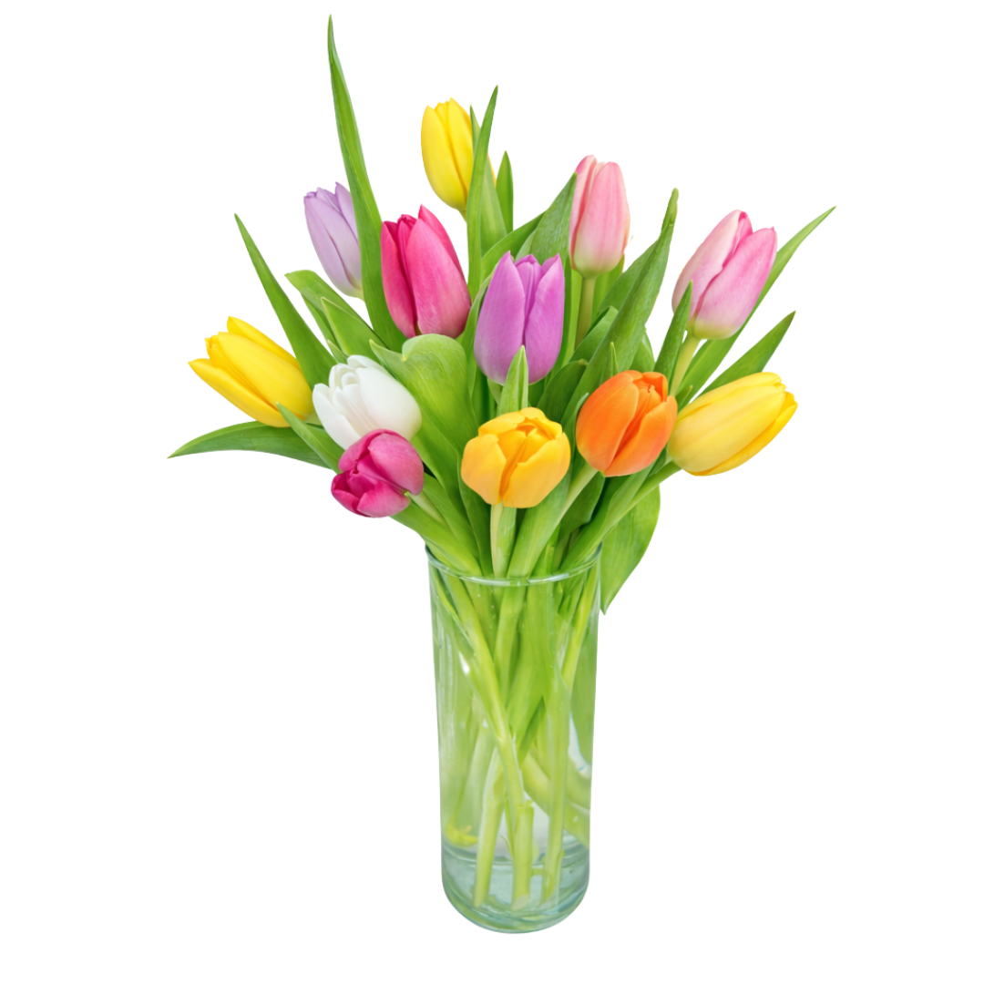 "Dozen Tulips" Flower Arrangement