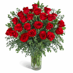 Two Dozen Red Hot Roses
