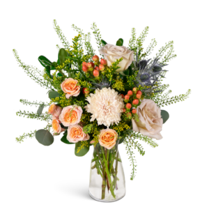 Wild Briar