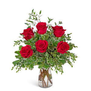 Half Dozen Red Roses